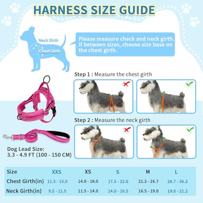 SlowTon No Pull Small Dog Harness and Leash Set with Front Clip | Soft Padded, Neck & Chest Adjustable, Lightweight, Anti-Twist, Puppy Vest Harness Pet Lead Combo for Small Medium Dog, FU XXS - color: Fuchsia, size: XX-Small