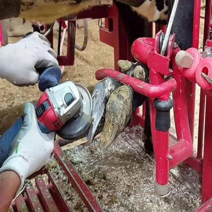 Arinda Goat Hoof Trimmers Tool - Professional Electric Hoof Trimming Disc, Metal Wood Carving Tools for Angle Grinder Attchments, Horses Cow Foot Repair (Blue 6 Teeth) - color: Blue 6 Teeth