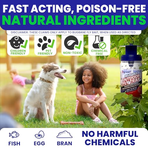 1 Reusable Outdoor Fly Trap with Chains with 8 Non-Toxic Dissolvable Bait Refills