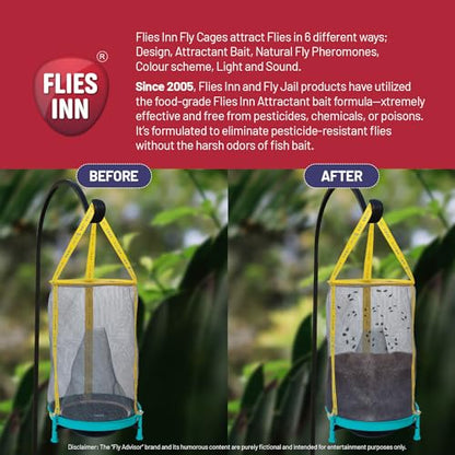 EZ Fly Cage Ranch Fly Trap with 2 Flies Inn Fly Attractant Bait Refill, Low Odor, Reusable, Built to Last for Years (6 Traps + 72 Baits, 1) - style: 6 Traps + 72 Baits