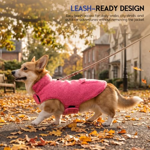ASENKU Dog Winter Coat, Reversible Dog Jacket for Small Medium Large Dogs - color: Hotpink, size: X-Small
