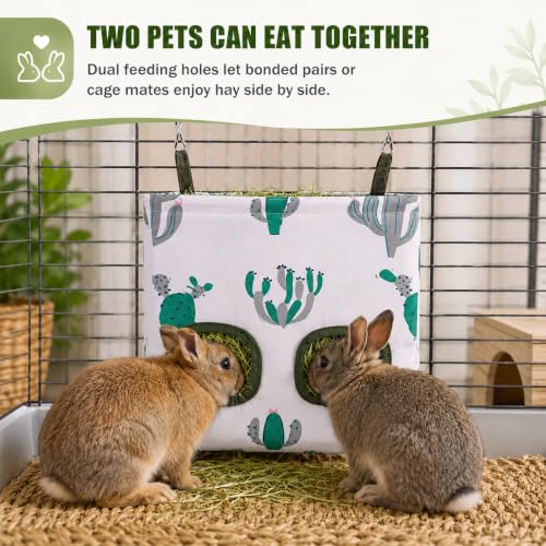 Rabbit Hay Feeder, Guinea Pig Hay Holder & Bunny Hay Feeder – Durable Hanging Hay Bag for Rabbits Chinchillas Guinea Pigs Bunnies – Chew-Resistant Hay Holder for Small Animals (Cactus) - color: Cactus