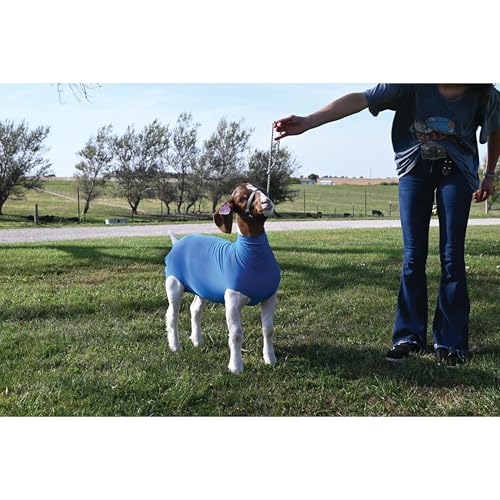 Weaver Livestock Spandex Goat Tube - size: Small, style: Blue