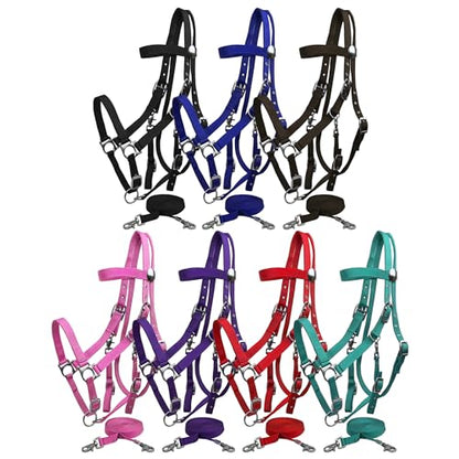 Nylon Combination Halter Bridle w/Reins - color: Black
