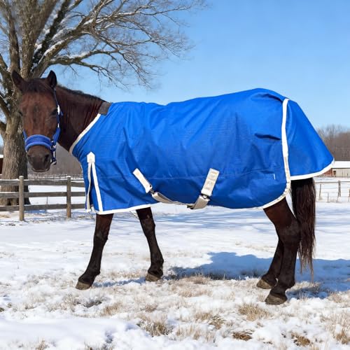 Miniature Horse Pony Horse Blanket, 1200D Winter Turnout Blanket for Pony Breeds/Tiny Horse/Small Breed Horse/Foal,Donkey Blanket Medium Weight with 220g Polyester Liner(51inch, Blue) - size: 100cm-51inch