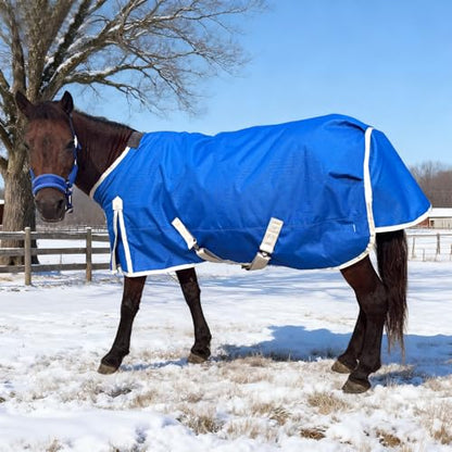 Miniature Horse Pony Horse Blanket, 1200D Winter Turnout Blanket for Pony Breeds/Small Pony/Tiny Horse/Small Breed Horse/Foal,Donkey Blanket with 220g Polyester Filling Liner (47inch, Blue) - size: 90cm-47inch