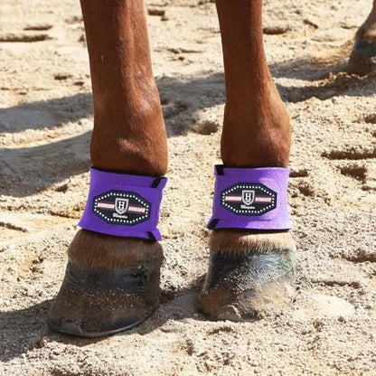 Harrison Howard Long-Lasting Shock-Absorbent Breathable Impact Protection Pastern Wraps for Horse Sold in Pairs-Purple - color: Purple