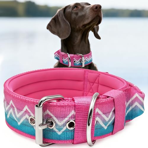 Dog Collar for Large Dogs,2 in Wide Heavy Duty,Pressure-Relief Padded, A-S - color: Pink Teal, size: S