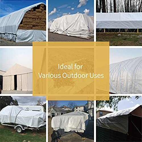 GUARD SHIELD Tarps Heavy Duty Waterproof 12x20 Feet White Poly Tarp Cover Outdoor Thick UV Resistant Tarpaulin with Grommets 10mil (2-Pack) - color: White, size: 12x20 (2-Pack)