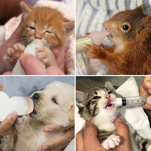 Pack of 5 Pet Feeding Bottle, Reusable Nursing Bottles Kits with Silicone Nipple, Replacement Original Feeding Bottle for Newborn Kittens Puppies Small Cat Dog Animals, Pink Short Nipple