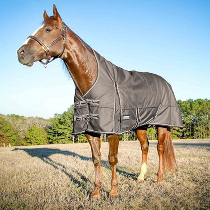 Jeffers Poplar Head Defense 1680 Denier Turnout Blanket with Extended Neck Design, Plymouth Brown 75"- 240g Polyfill, Waterproof, Breathable Horse Blanket, Ideal Protection for Winter, Medium Weight - size: 75 in