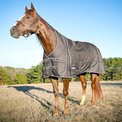 Jeffers Poplar Head Defense 1680 Denier Turnout Blanket with Extended Neck Design, Plymouth Brown 75"- 240g Polyfill, Waterproof, Breathable Horse Blanket, Ideal Protection for Winter, Medium Weight - size: 75 in