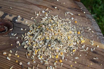 New Country Organics | Sheep Feed for Lactating Ewes and General Maintenance | Soy-Free | 13% Protein | Certified Organic and Non-GMO | 40 lbs Bag