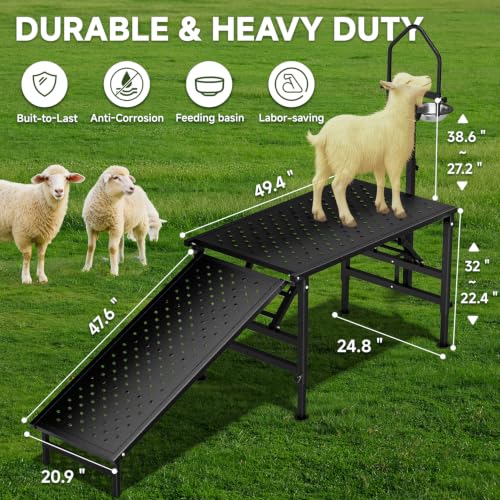 Goat Milking Stand with a Ramp, Metal Goat Stand with Feed Bin, 600LBS Livestock Trimming Stand with Height Adjustable, Sturdy Sheep Stand for Goats and Lambs, Black.