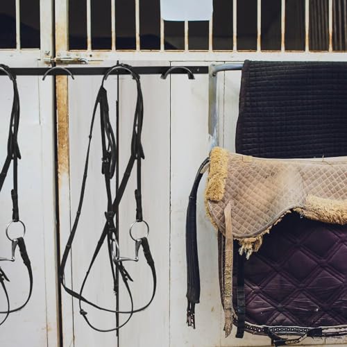 Aliceset 2 Pcs Horse Bridle Rack Wall Mount Metal 5 Spot Bridle Rack Horse Tack Organizer Rounded Tack Hook Space Saving Storage for Barn Room Halter Headstall Supplies Black