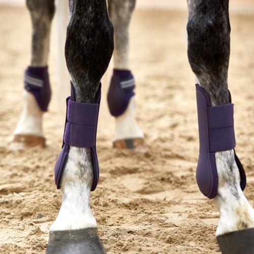 HORZE Adepto Open Front Tendon Boots | Durable Shell with Neoprene Lining - Blackcurrant Purple - Cob - color: Blackcurrant Purple, size: Cob