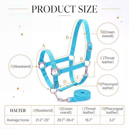 2 Pack Nylon Horse Halter with Reins Adjustable | Training, Show, Pony, Padded, Reinforced, Brass Snap, Equine Stable Supply - color: Turquoise