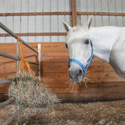 Majestic Ally Pack of 2 Adjustable Halter for Horses–Adjustable Chin and Crown– Sewn-in Throat Snap Hook- Heavy Duty Rose Gold or Black Nickel Finish Hardware–Full - color: Purple