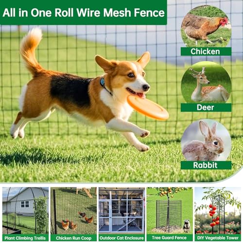 Amagabeli Black PVC Coated Welded Wire Fence 2 inch x 3 inch 24inch x 25ft 16 Gauge Garden Fence Chicken Wire Fencing Roll Vinyl Coating Metal Wire Flower Bed Dog Barrier Plant Poultry Netting Cage - color: Black, size: 2''x3'' 16GA 24''x25'