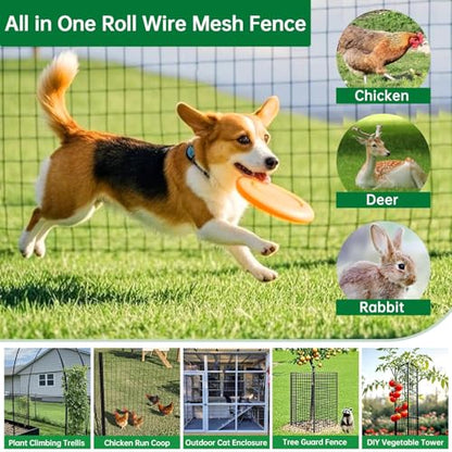 Amagabeli Black PVC Coated Welded Wire Fence 2 inch x 3 inch 24inch x 25ft 16 Gauge Garden Fence Chicken Wire Fencing Roll Vinyl Coating Metal Wire Flower Bed Dog Barrier Plant Poultry Netting Cage - color: Black, size: 2''x3'' 16GA 24''x25'