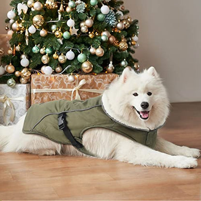 EMUST Dog Winter Coat, Waterproof Fleece Dog Jacket Winter for Medium Dogs - color: Green, size: Medium