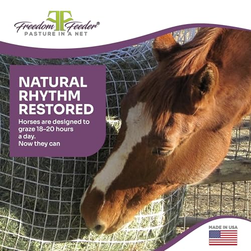 Freedom Feeder Mesh Net Two Day Slow Horse Feeder — Designed to Hold 50 lbs, 6 Flakes or 2 String Bale of Hay and Feed Horse for Two Days — Reduces Horse Feeding Anxiety and Behavioral Issues - size: 1.5"