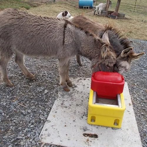 Ritchie OmniFount 2 Special Yellow Heated Stainless Livestock Waterer 18680