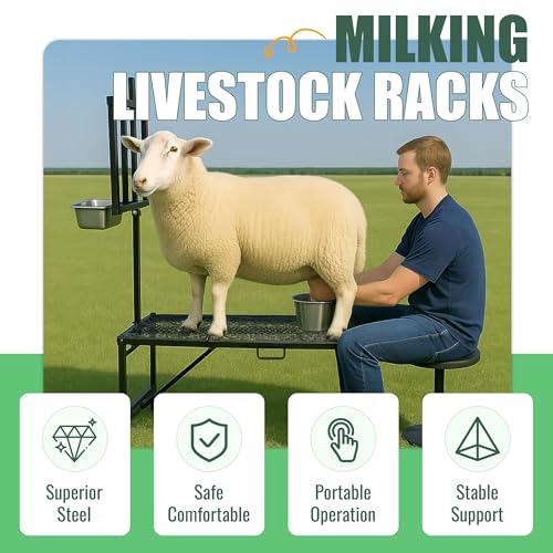 600LBS Milking Stand for Goat, Adjustable Sheep Rack with Feeder, Metal Livestock Milk Stand Fit for Shearing, Hoof Trimming, Animal Examinel Examination, Stainless Steel (Black) - color: Black