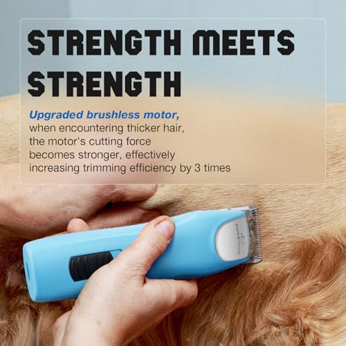 Professional Dog Clippers for Grooming Thick Curly Matted Coats - color: Blue