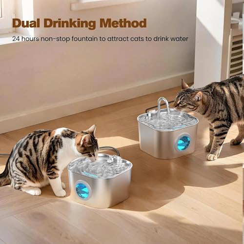 Cat Water Fountain Stainless Steel: Pet Fountains for Cats/Dog Indoor 74oz