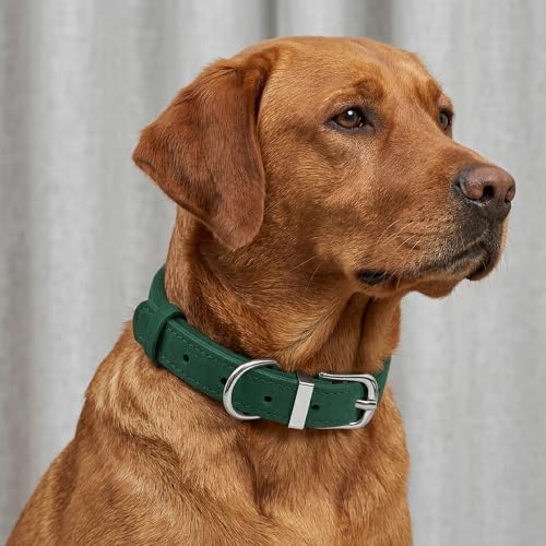OOPSDOGGY Rolled Leather Dog Collar Reflective – Genuine Leather Round Dog Collar for Small Medium Large Dogs (Emerald Green, 8" - 11") - color: Emerald Green, size: 8" - 11"