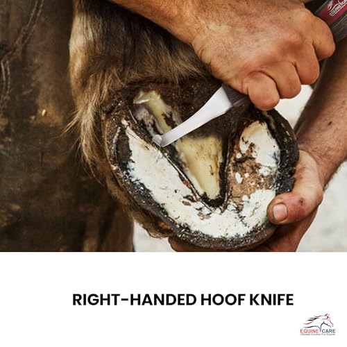 Equine Care Right-Handed Farrier Hoof Knife, Horses Goats Sheep, Red Handle | Farrier hoof knife for horses, goats, sheep and cattle; J2 stainless steel curved blade; red layered handle. - style: Right-Handed