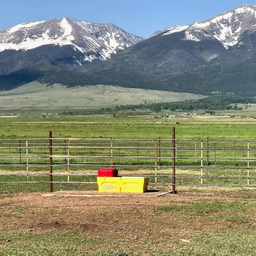 Ritchie CattleMaster 480 Heated Automatic Livestock Waterer, 20-Gallon Capacity, Fully Insulated, Stainless Steel Trough, Thermostatically Heated, Waters Up to 180 Beef or 90 Dairy Cattle #18248
