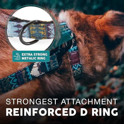 Embark Dog Collar - Adjustable Heavy Duty Outdoor Pet Training Collar - color: Azure, size: Small