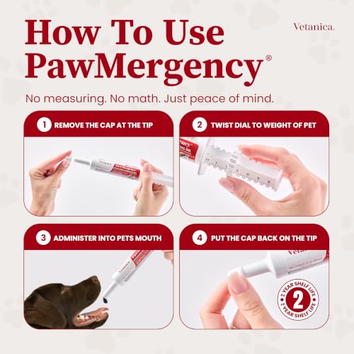 PawMergency – Activated Charcoal First Aid Kit Emergency Rescue 2 Pack for Dogs, Cats, Puppy & Pet Poison Kit, Camping Survival Remedy Essential, Oral Anti Diarrhea Digestive Absorb Toxins - size: 31 - 60lbs (2 Tubes)