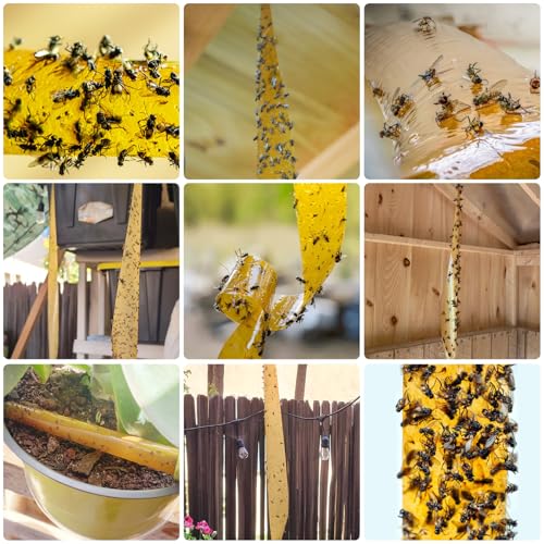 Outdoor Fly Trap Indoor Hanging 60pk, Sticky Fly Strips Tape Paper for Home - size: 60 pack
