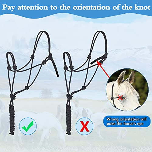Dunzy 2 Pcs Horse Rope Halters 4 Knot Training Halter Gift Black Turquoise