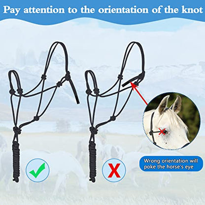 Dunzy 2 Pcs Horse Rope Halters 4 Knot Training Halter Gift Black Turquoise