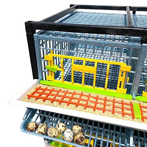 Hatching Time Quail Breeding Cage Indoor - 4 Layer Stackable Quail Coop, Easy Clean, Rust-Free, Egg Roll-Out Tray, Power-Washable PP Plastic Quail Pens with Frame & Wheels, Comfortplast by Cimuka - style: Traditional