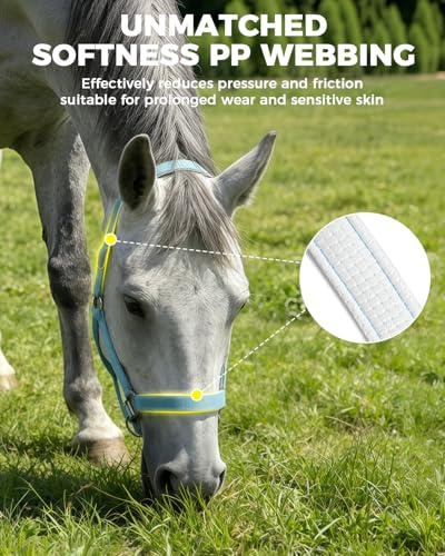 Hilltown Breakaway Halters for Horses with Leather Fuse | Adjustable Fit, Soft Rubber Padding, Quick Release Snap, and Easy Clean Webbing for Training and Stable Use - size: X-Full