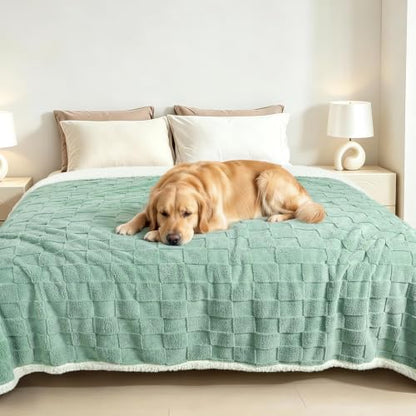 Luciphia Waterproof Dog Blanket, Reversible Fleece & Sherpa, Couch Cover - color: Mint Green, size: Queen (90x82 inch)