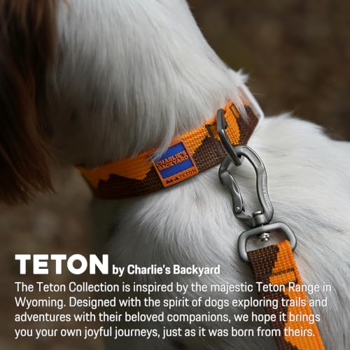 Charlie’s Backyard Teton Dog Collar, Urban to Trail Lightweight & Adjustable with Quick Release DURAFLEX Buckle, Durable D-Ring & All-Day Comfort, Autumn Glow, Large - color: Autumn Glow, size: Large