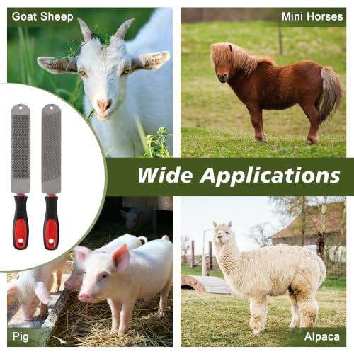 2PCS 15.6inch Double-Side Hoof Rasp File with Long Handle