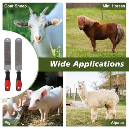 2PCS 15.6inch Double-Side Hoof Rasp File with Long Handle