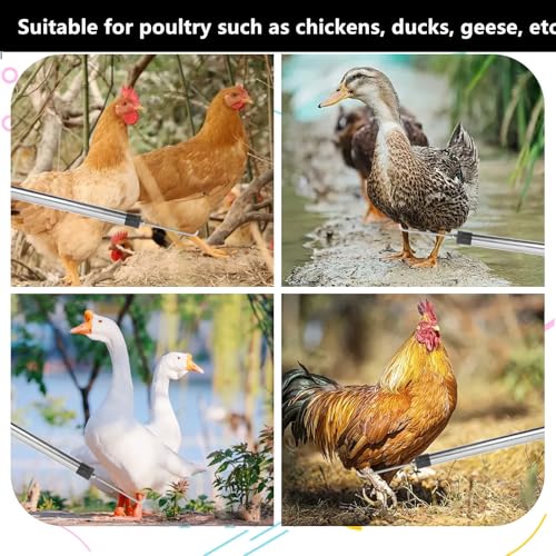 Chicken Net Catcher,74" Adjustable Extension Pole Chicken Hook Catcher Kit | 74" Adjustable Stainless Steel Chicken Net with Leg Hook, Suitable for Chickens, Ducks, Fish, Birds & Small Livestock
