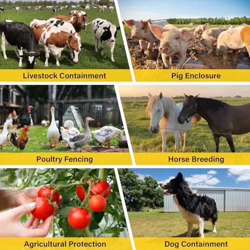 Electric Fence Wire 656Ft 200M - 6 Stainless Steel Strands Polywire for Reliable Conductivity - Electric Fence Poly Wire for Portable Livestock Fencing - size: 656 Feet/200 Meters