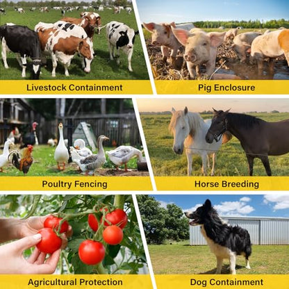 Electric Fence Wire 656Ft 200M - 6 Stainless Steel Strands Polywire for Reliable Conductivity - Electric Fence Poly Wire for Portable Livestock Fencing - size: 656 Feet/200 Meters