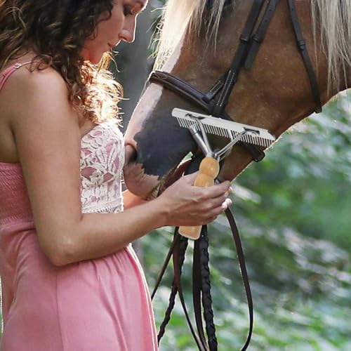 POPETPOP Horse Nail Rake, Undercoat Grooming Rake with Wooden Handle