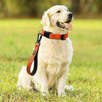 PLUTUS PET 10” Short Dog Leash, Reflective Nylon Padded Handle, Strong Traffic Leash with Carabiner Clip, Perfect for Large or Medium Dogs（10”，Orange | Reflective, Heavy Duty Strong Nylon, Traffic Leash with Carabiner Clip for Training Walking (10", Orang