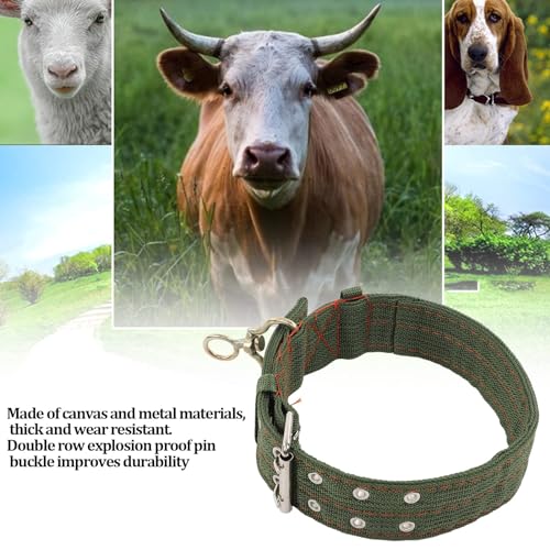 Sheep Collar, Non-Slip Adjustable Turn Buckle Collar Farm Animal Goat TieCollar with 2-Rows Metal Buckle and Traction Chain for Cow Goat Sheep Nylon Neck Strap Cow Collar(S) - size: S